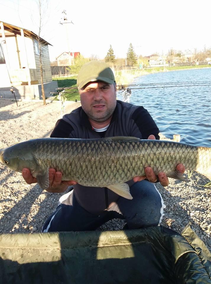 27 -28 Martie Hermes Peris 2017 - 1742515315064473827216003574569945515618010n.jpg